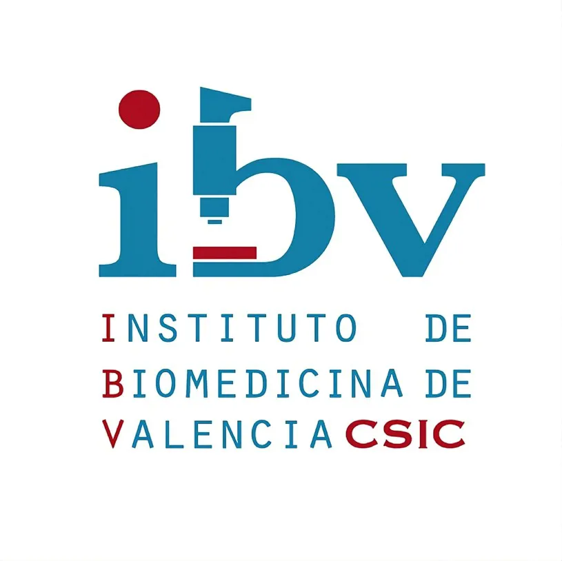 Ibv